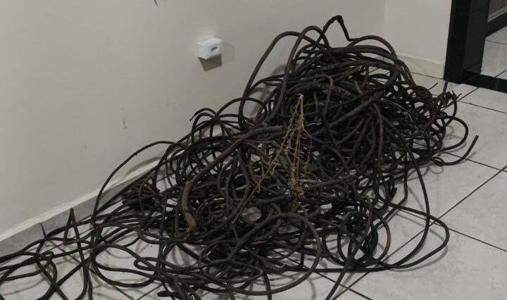 WhatsApp Image 2026-01-29 at 07.48.39