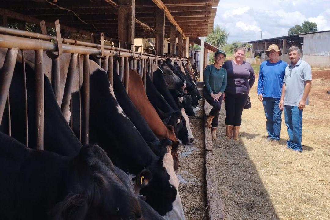 Melhorias do solo, pastagens e nutrição do rebanho fortalecem pecuária leiteira do Paraná - Foto: SEAB