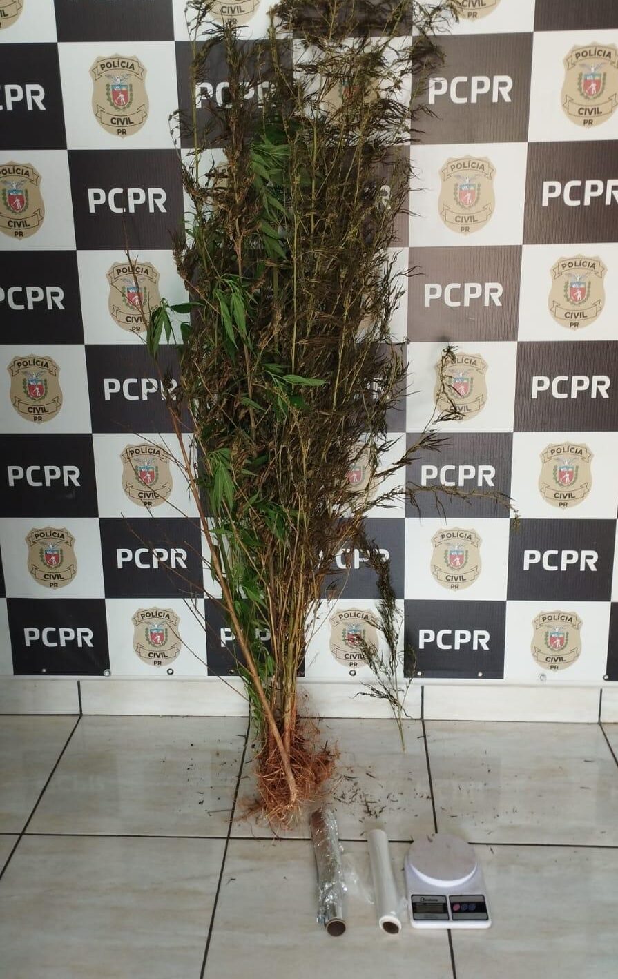 WhatsApp Image 2026-02-09 at 18.26.42