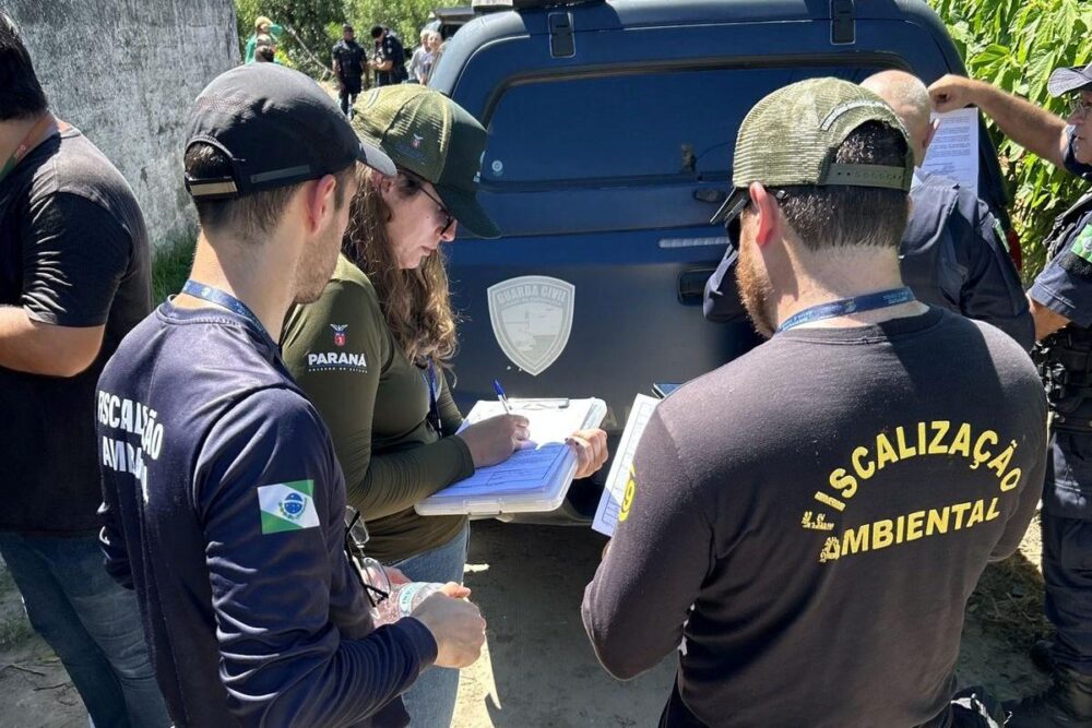 a-ambiente Todos podem participar do trabalho de preservação ambiental
Foto: IAT