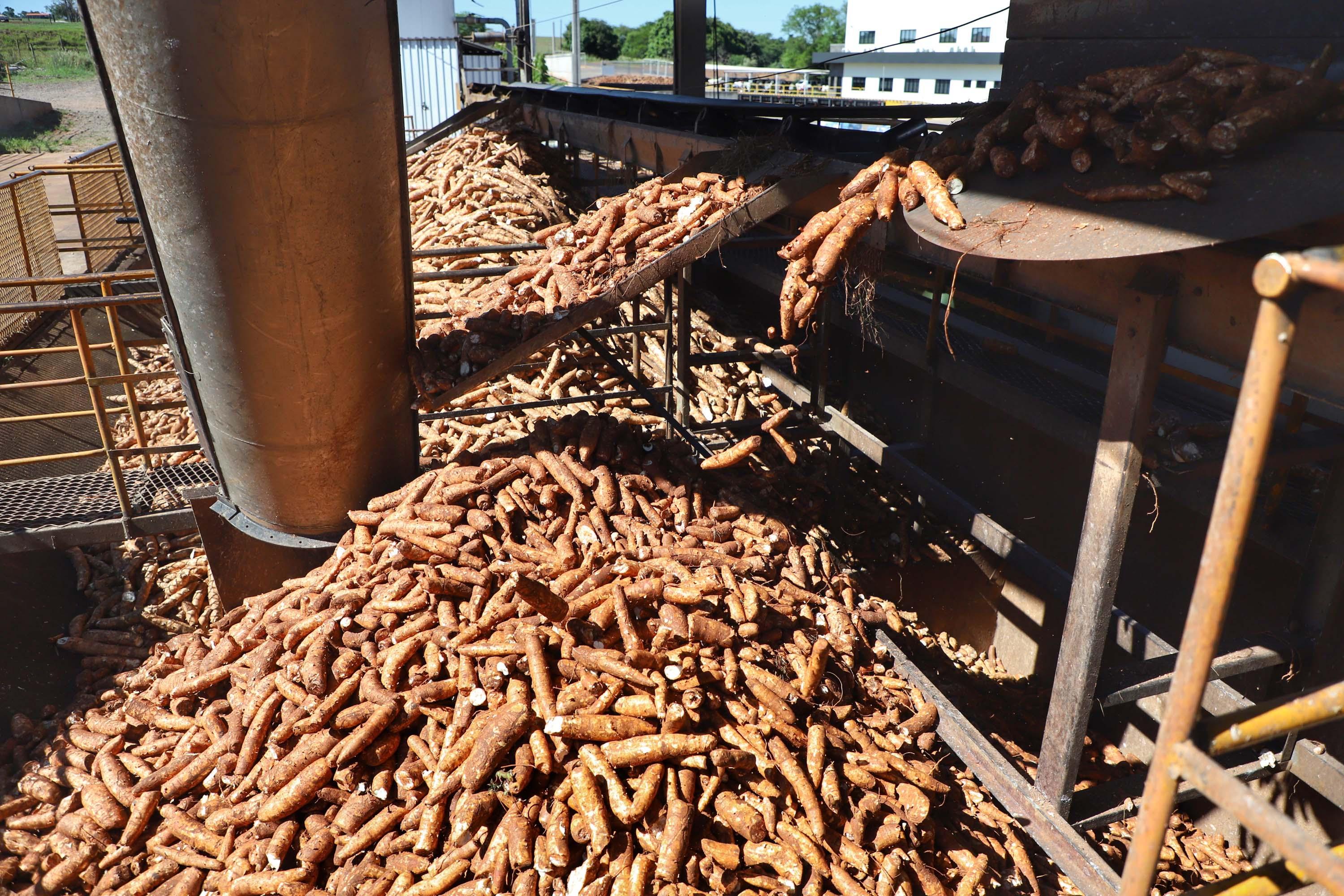 Governo do Estado promoverá integração regional ao conectar Guaporema e Mirador com nova ponte sobre o Rio Ivaí
Foto: Victor Guandalini/SEPL