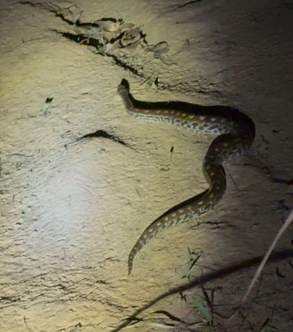 WhatsApp Image 2026-03-02 at 08.12.10