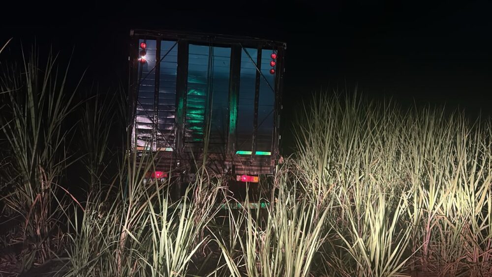 WhatsApp Image 2026-03-05 at 19.35.30