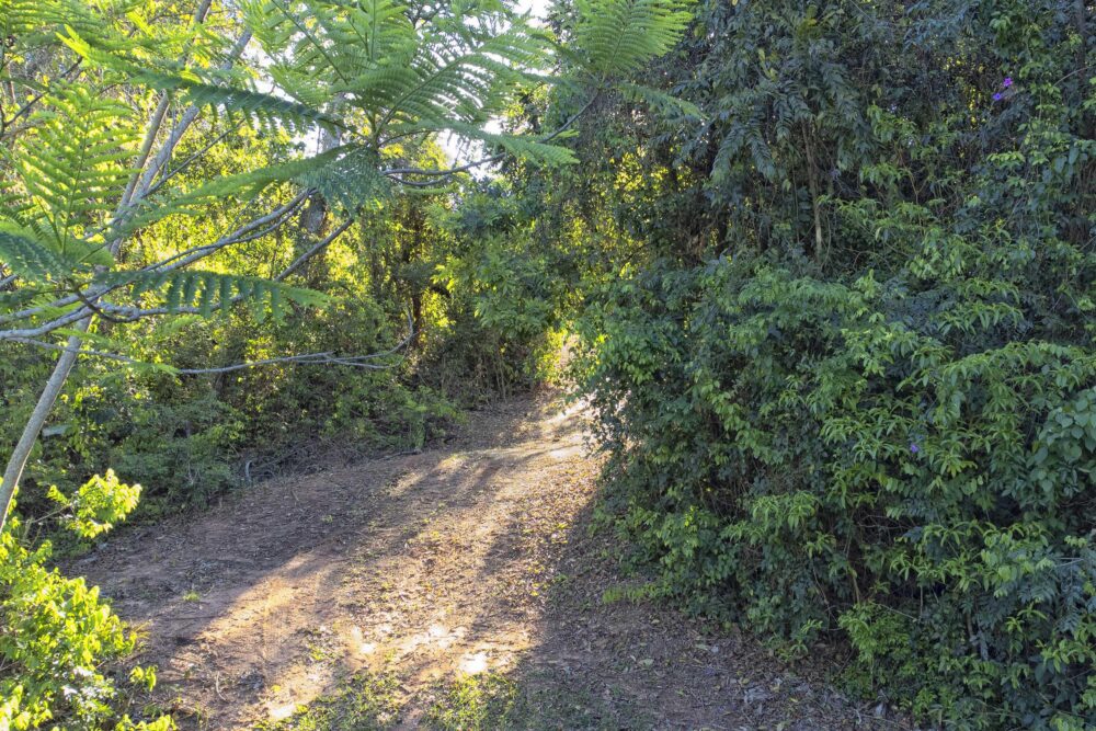 Novo prazo foi definido pelo IAT 
Foto: Denis Ferreira Netto/SEDEST