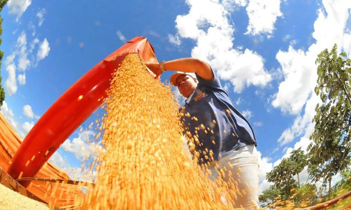 Números da safra foram divulgados pela Conab
Foto: Prefeitura de Campo grande/Divulgação
