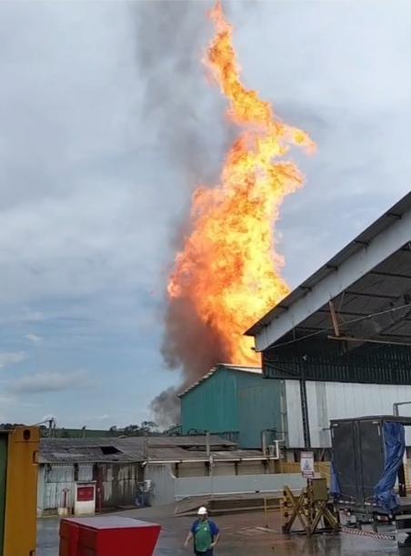 Foto: Reprodução/Redes sociais