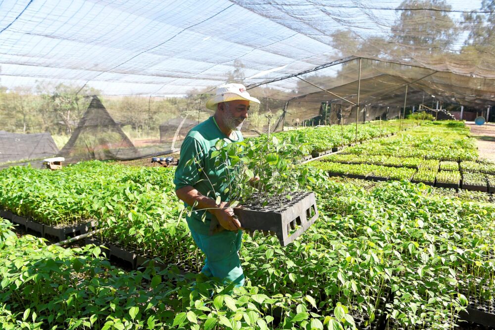A-MUDA Estima prevê ampliação em 20% no número de espécies
Foto: Denis Ferreira Netto/SEDEST