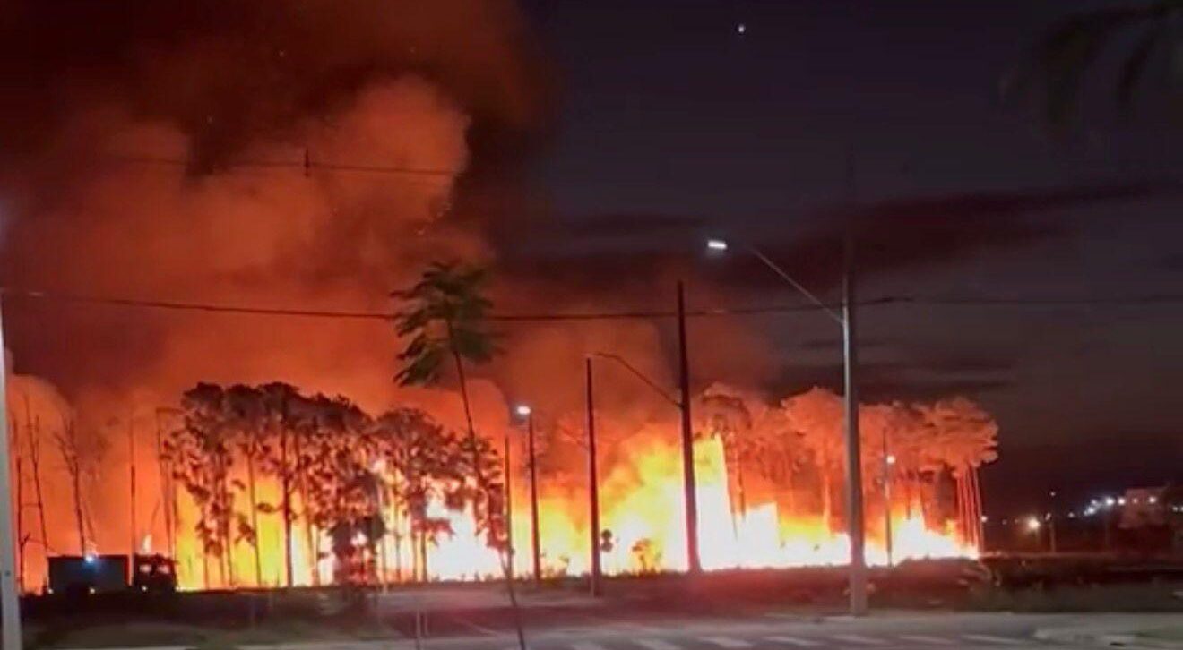 Segundo os oficiais, a área atingida foi de aproximadamente 8 mil metros quadrados - Foto: Reprodução.