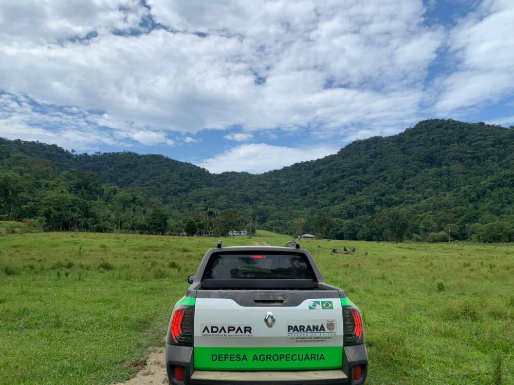 Trabalho é considerado essencial para as atividades agropecuárias