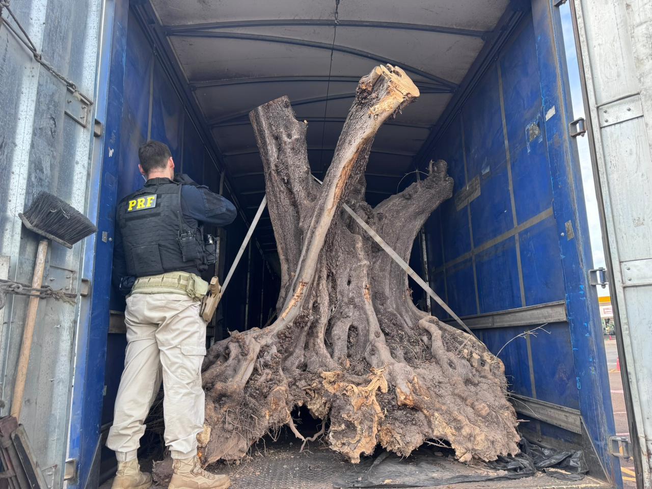 WhatsApp Image 2026-04-12 at 17.48.12