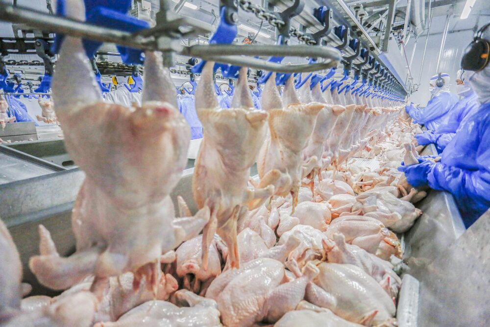 a-carne1 Números foram divulgados pelo Ipardes
Foto: Jonathan Campos/AEN