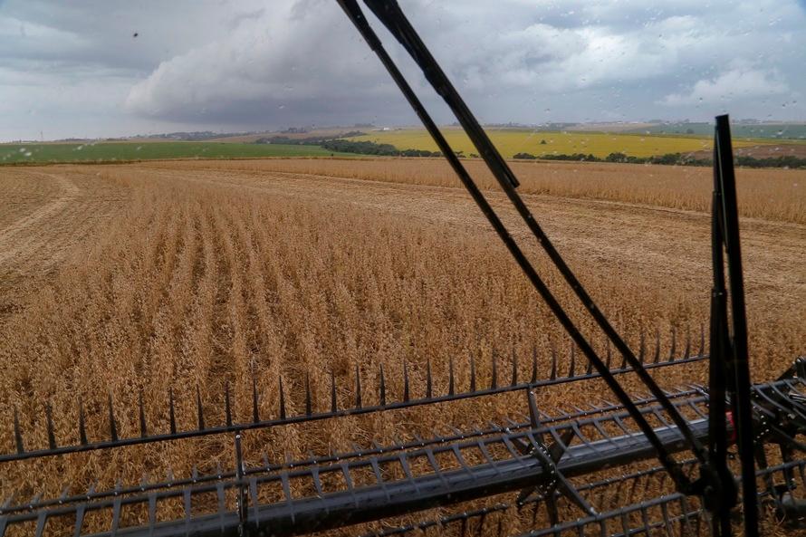 A-CONAB Estimativa prevê aumento na afra de grãos
Foto: AEN