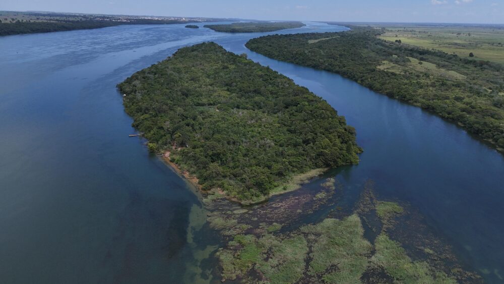 Ilha Catarina é cercada pelo rio Paraná e abriga belezas e recursos naturais
Foto: Gustavo Romano