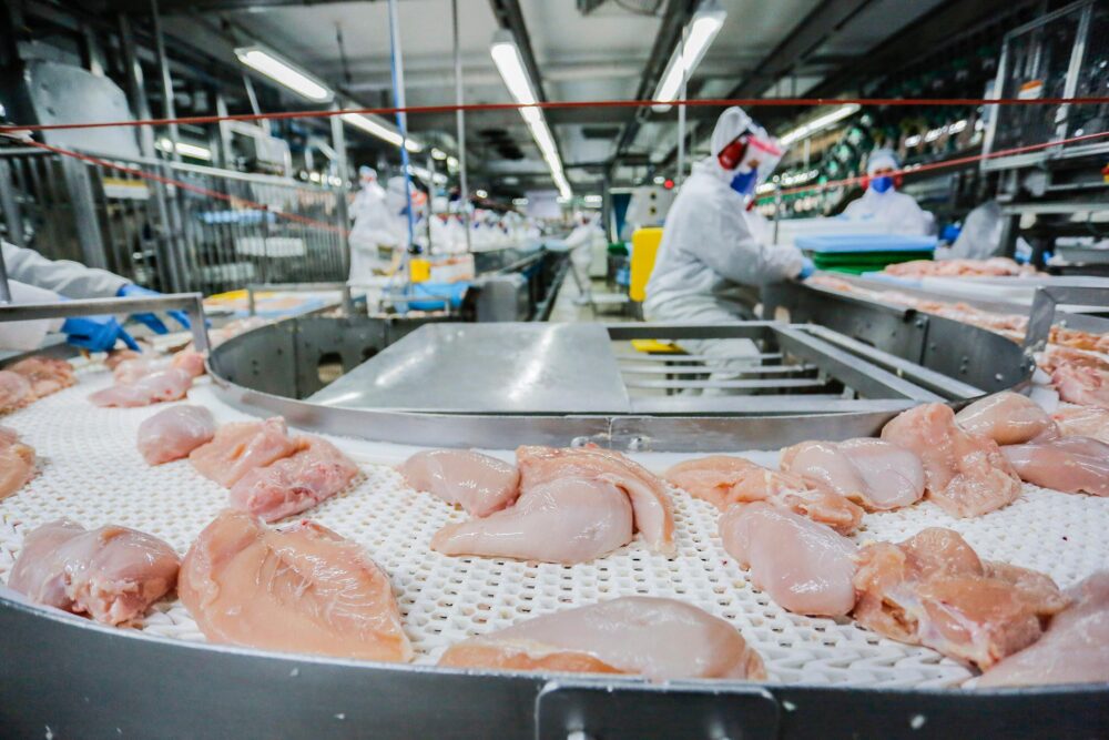 Números foram divulgados pelo Porto de Paranaguá
Foto: Jonathan Campos/AEN