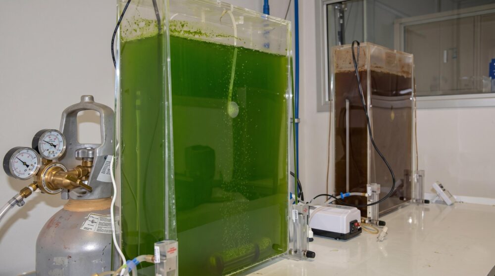 Combustíveis estão no centro do debate
Foto: Arquivo/Agência Brasil