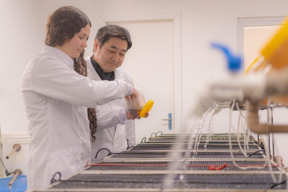 Universidade está com inscrições abertas para o concurso