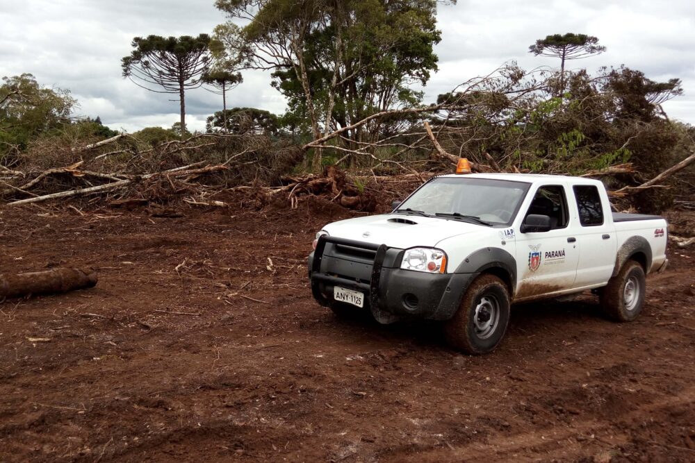 Fique atento aos benefícios e prazos previstos
Foto: IAT