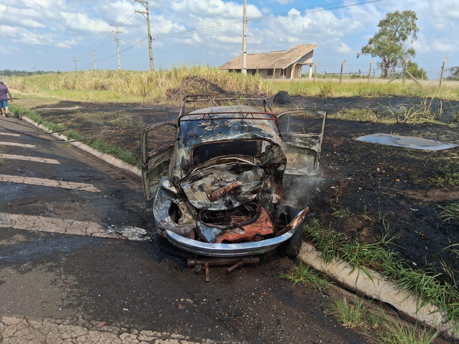 Além do carro, fogo também atingiu a vegetação às margens da rodovia — Foto: Defesa Civil de Nova Esperança.