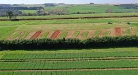 Cuidados representam mais lucratividade e cuidado com o meio ambiente
Foto: Sistema Faep