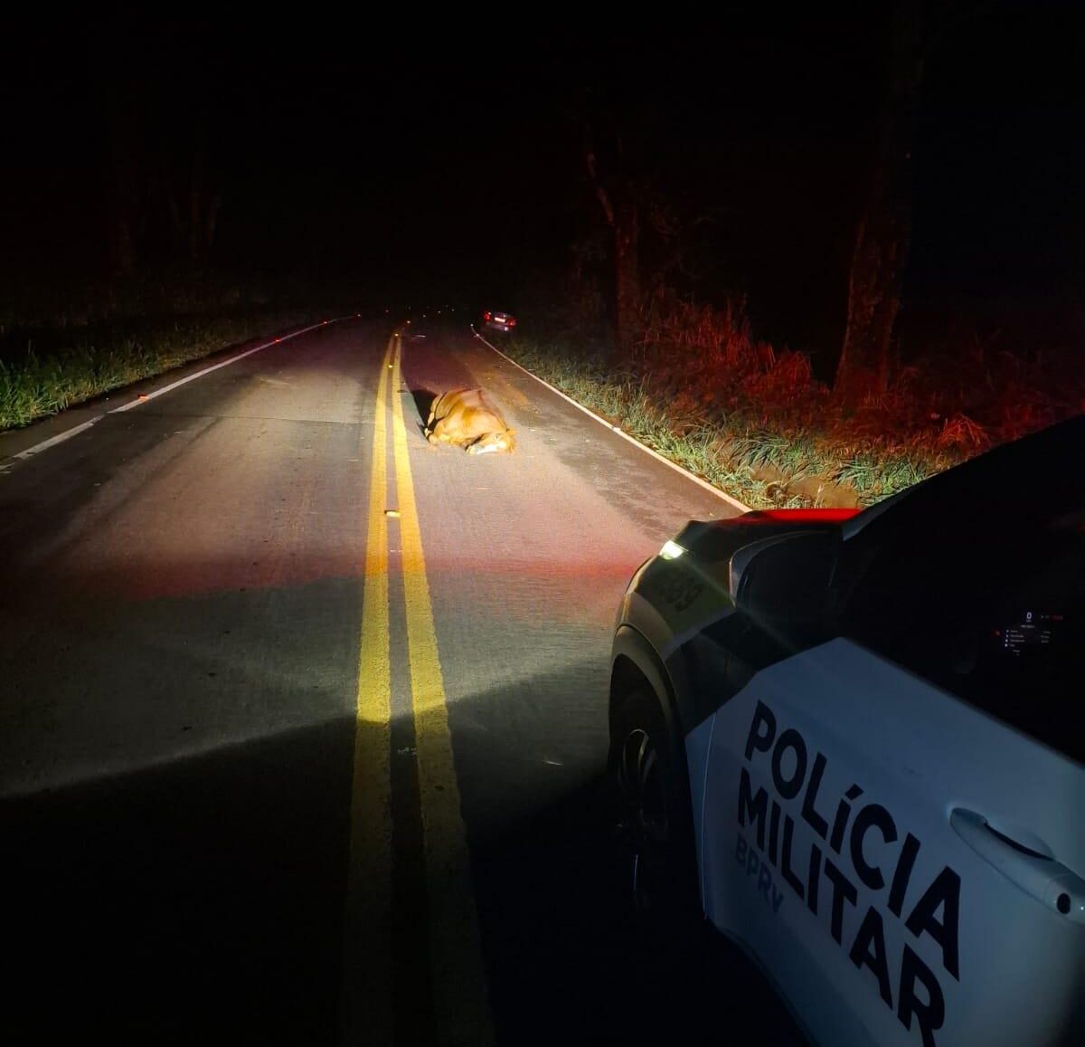 WhatsApp Image 2026-04-28 at 06.57.34