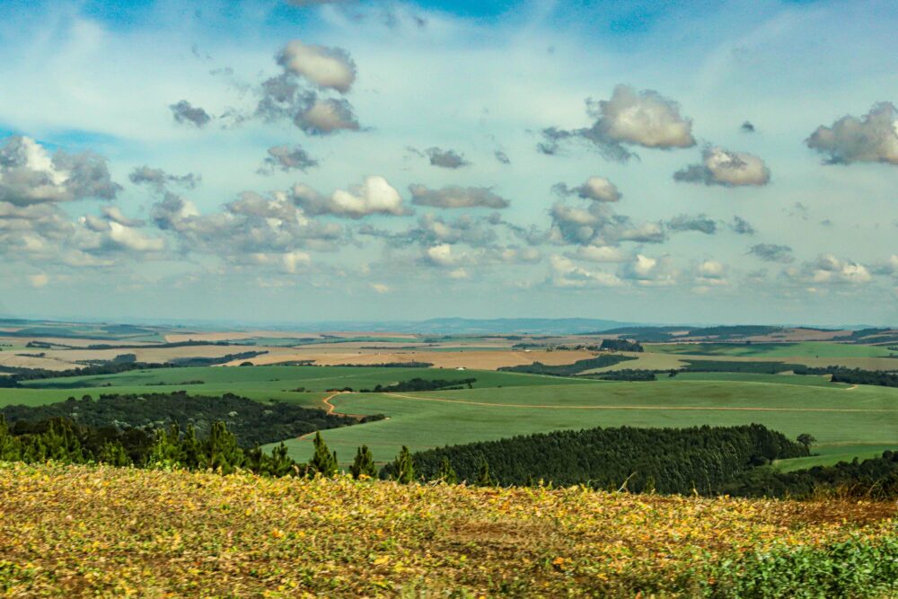 Valor da terra está em debate no Estado
Foto: Roberto Dziura Jr/AEN