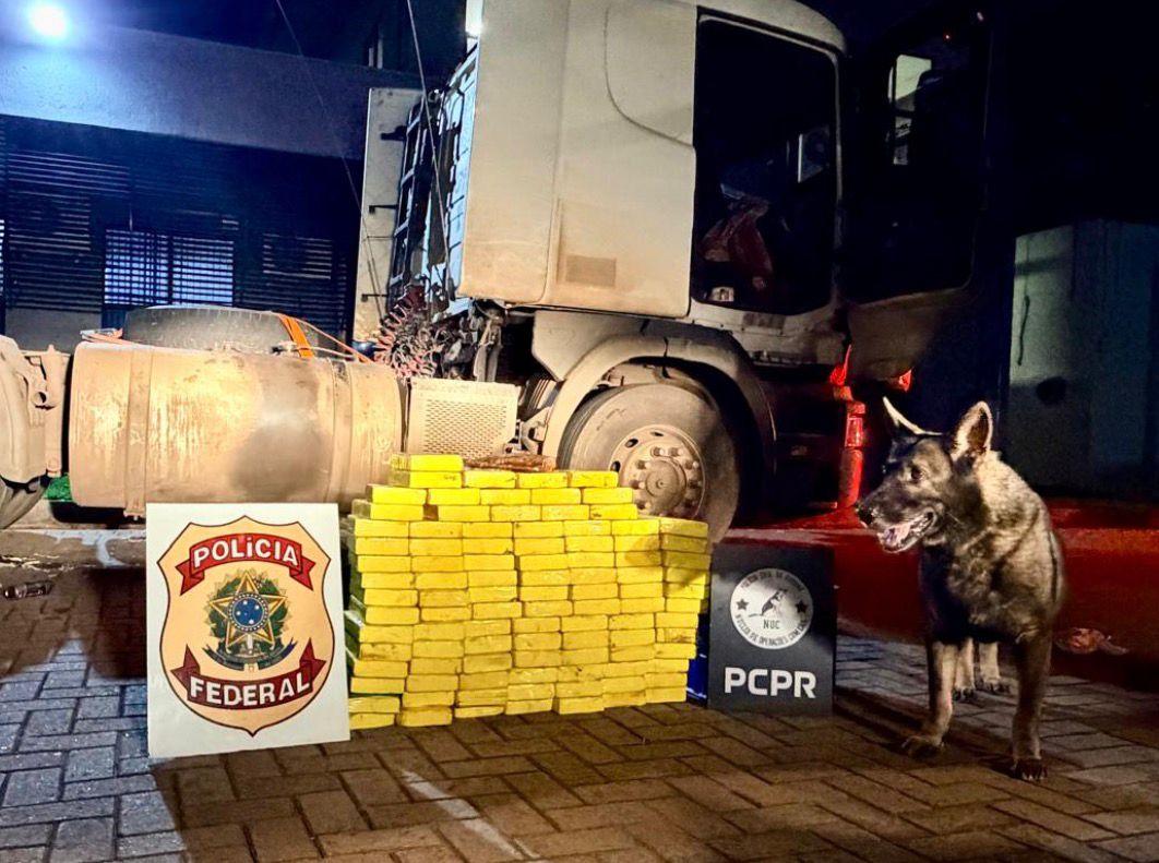 Graças ao apoio da Equipe Canil, a droga foi localizada em um fundo falso — Foto: Polícia Federal