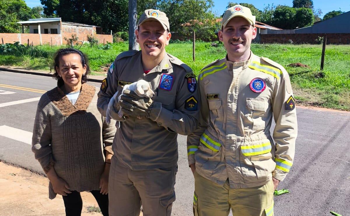 Foto: Corpo de Bombeiros