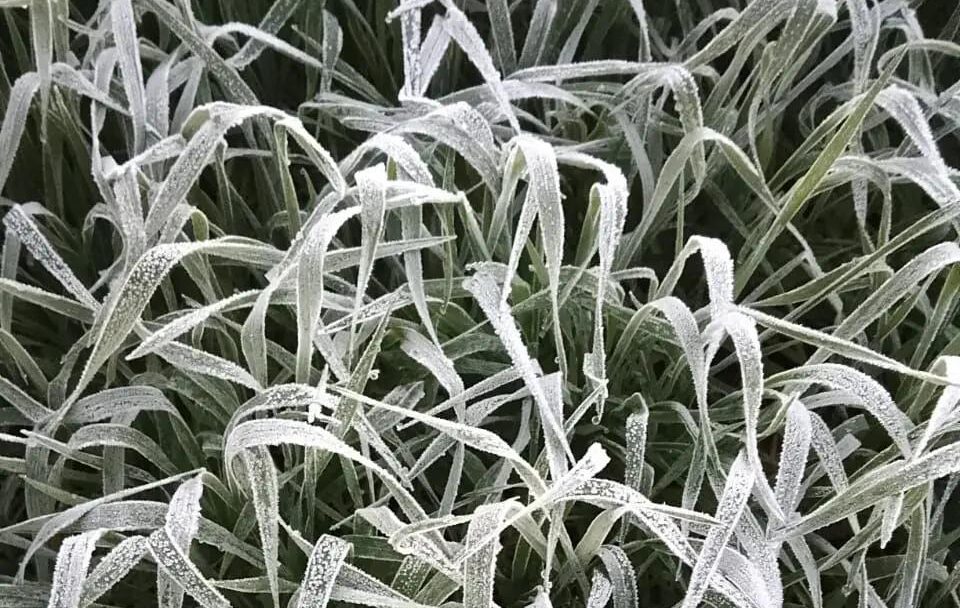 Depois de dias de calor, cidade pode ter o amanhecer mais frio do mês na próxima segunda-feira (11) - Foto: Ilustrativa