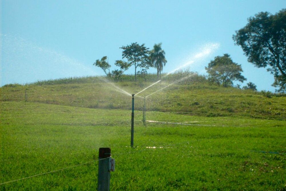 ICMS zero: Paraná prorroga isenção para agropecuária até 2026 
Foto: Gilson Abreu/Arquivo AEN