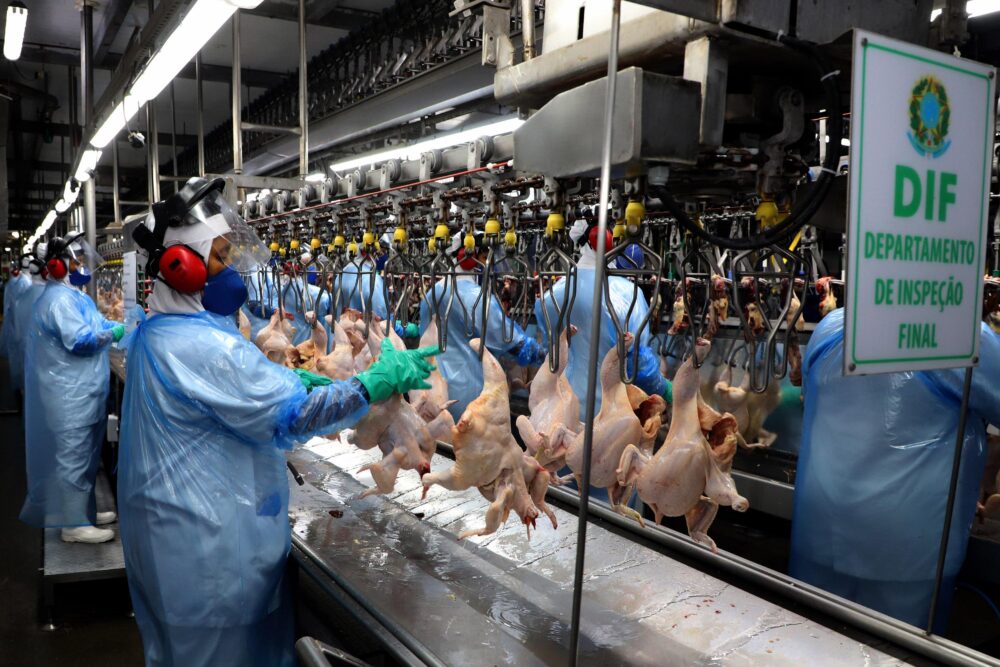 Venda de carne de peru para o exterior teve grande elevação