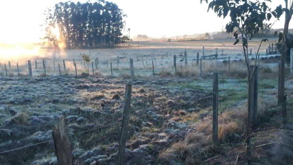 A previsão do Simepar para segunda-feira (11) indica 6°C entre 6h e 7h - Foto: Reprodução AEN