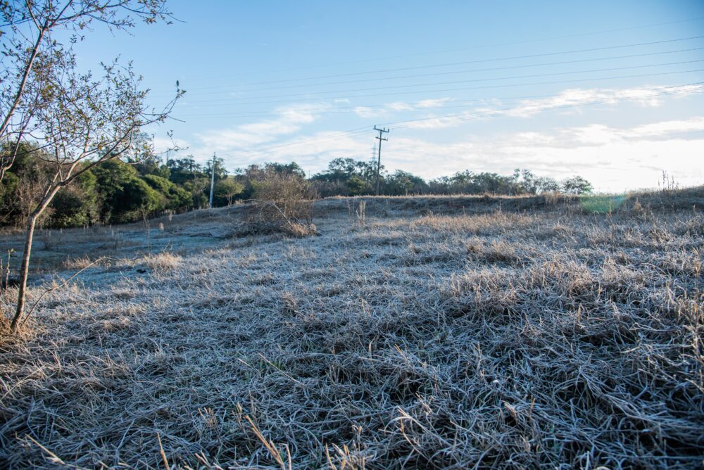Máxima cai mais de 10ºC de segunda (22) para terça-feira - Foto: Ivan Fuquini