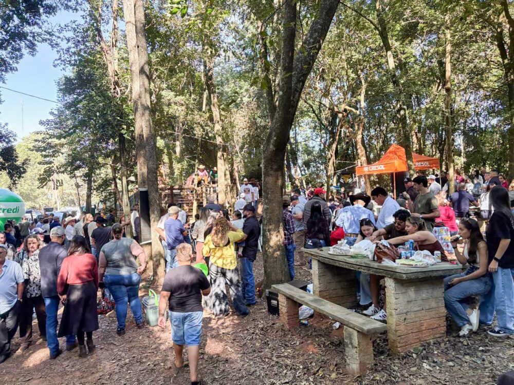 Bosque 2 Foto: Guto Costa
