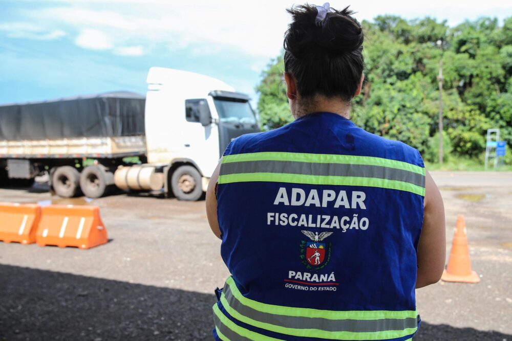 a-adapar1 Legislação consolida duas carreiras dentro do Quadro Próprio da Adapar
Foto: AEN