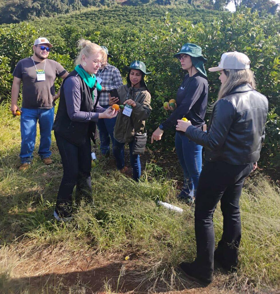 Curso de capacitação realizado neste mês
Foto: Divulgação
