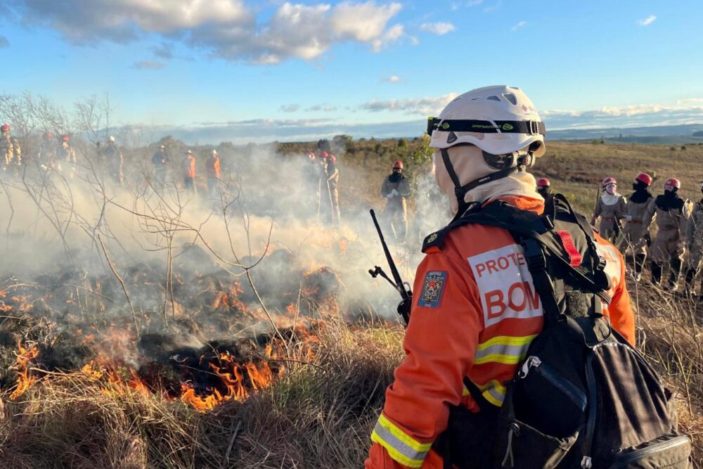 Incêndios causam prejuízos financeiros e à natureza
Foto: CBMPR
