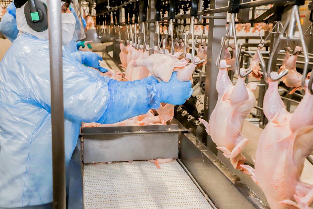Carnes estão entre os itens a serem adquiridos