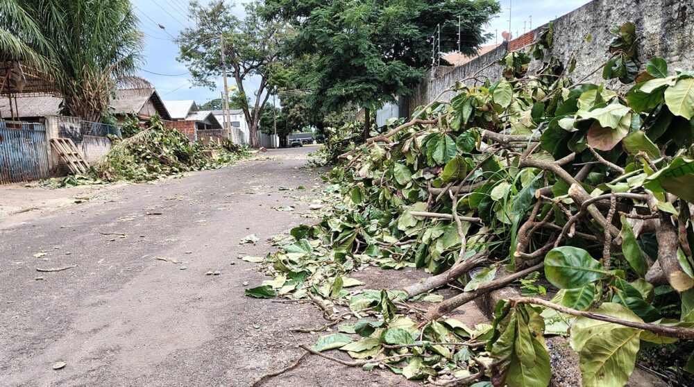Foto: Diário do Noroeste