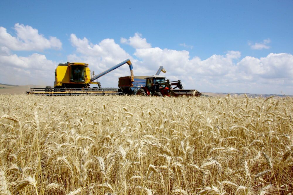 Números indicam total de riquezas gerada pelo agro
Foto: AEN/Arquivo