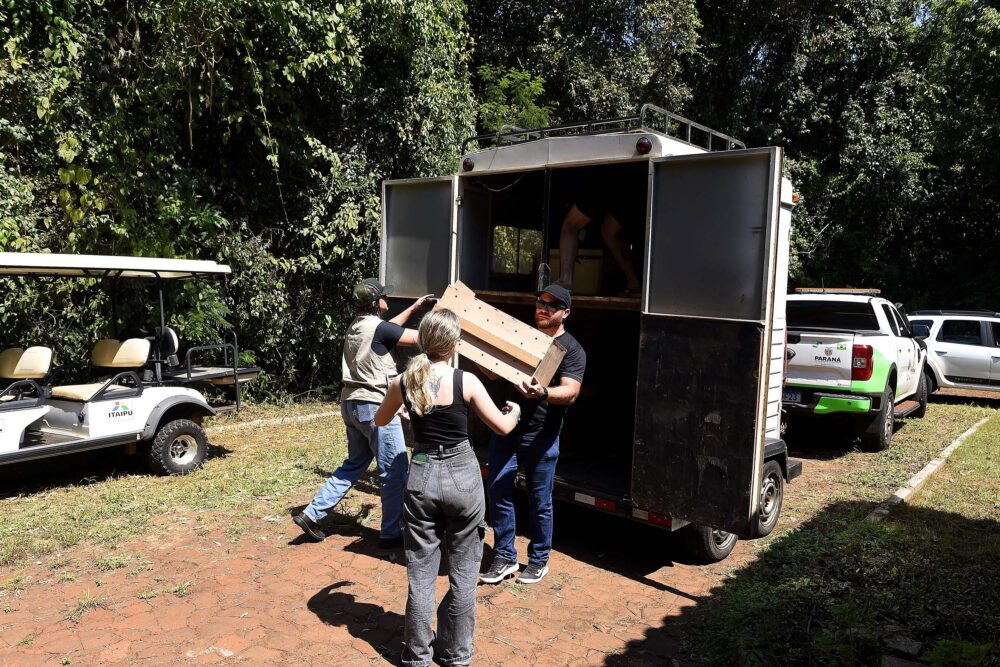 Entre as situações denunciadas até o momento, a maioria, em torno de 32,5%, foi enquadrada como pedidos gerais de fiscalização
Foto: Denis Ferreira Netto/Sedest