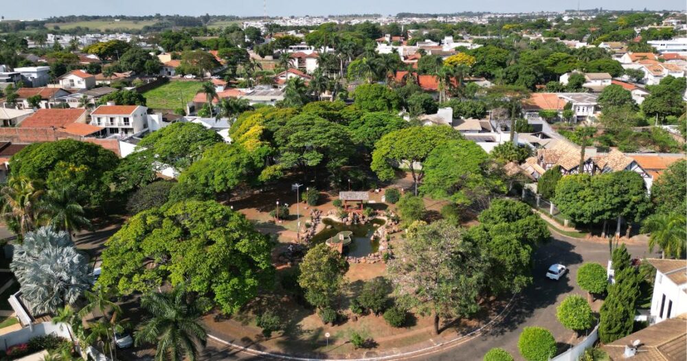 Reunião tratou da arborização da cidade
Foto: Divulgação
