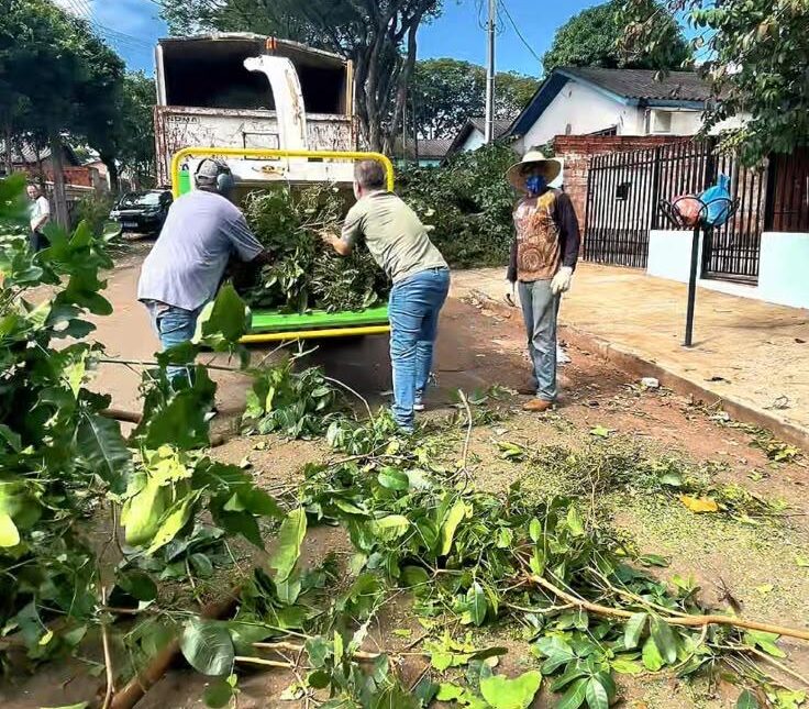 Trabalho de poda garante saúde das plantas e mais segurança aos moradores