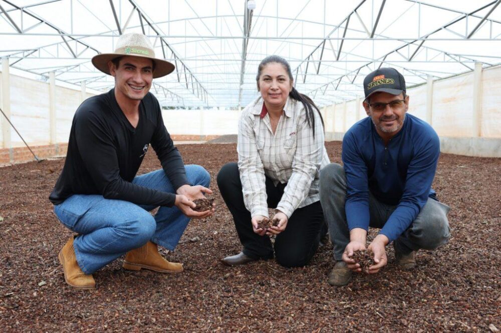 Com os pais, Natan Carvalho cultiva seis variedades de café, todos especiais e voltados aos concursos de qualidade