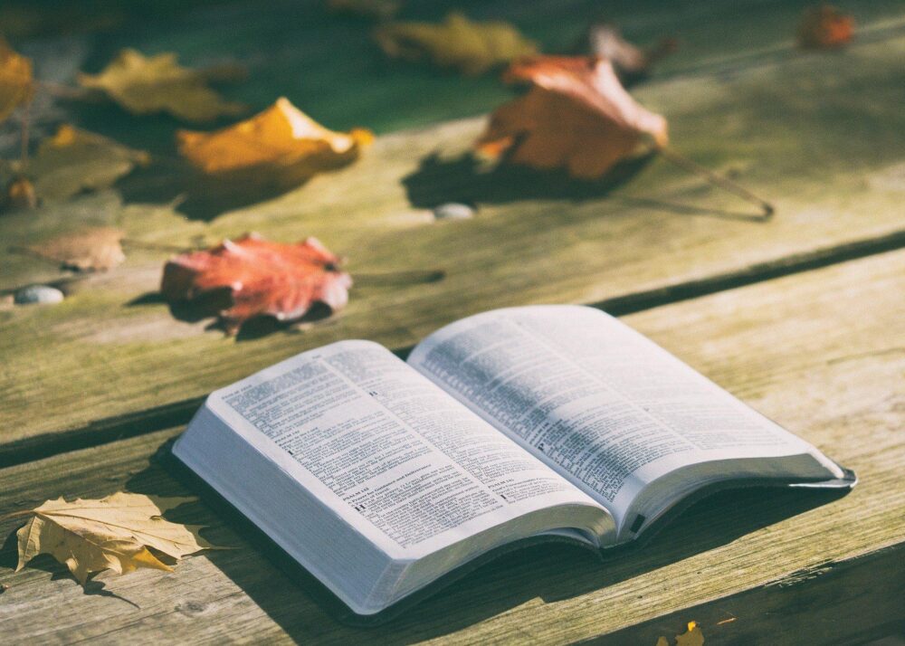 opi_24-7-2020_John_Stott_Biblia