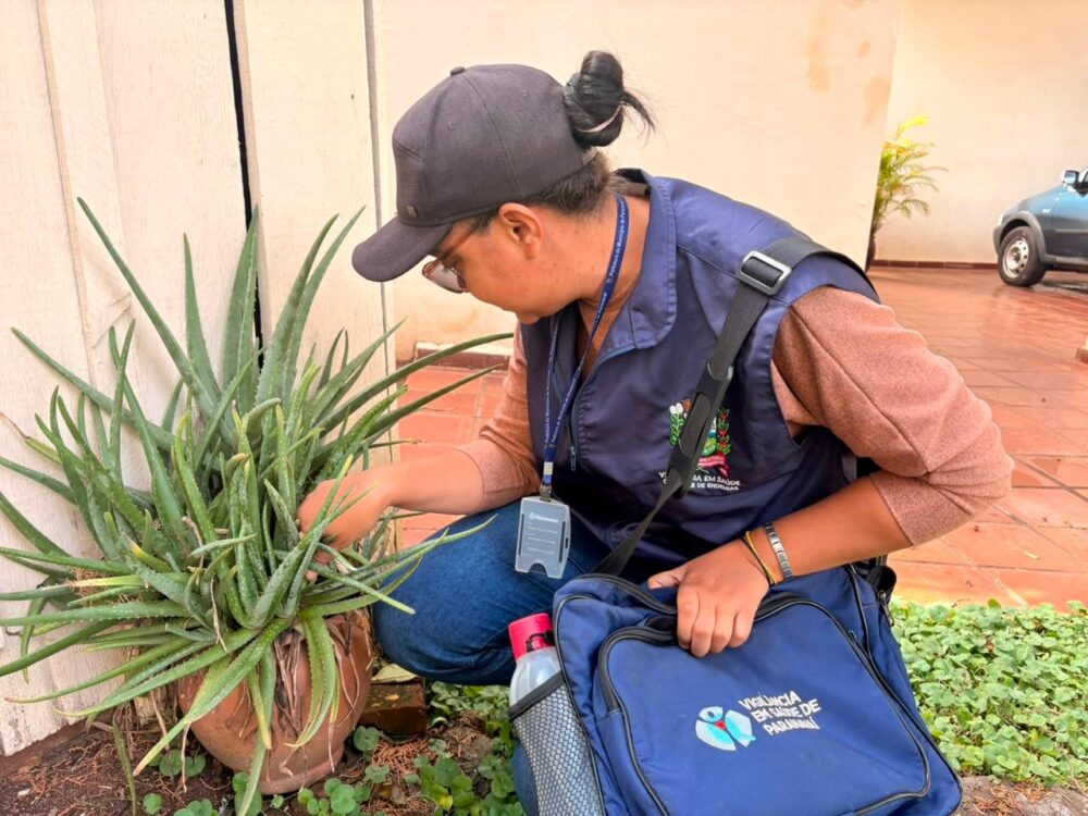 a-cuida1 Agentes fazem um trabalho constante na cidade