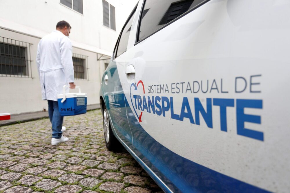 No Paraná são realizados transplantes de rim, fígado, coração, pulmão e pâncreas, além de tecidos como córneas, pele, ossos e válvulas cardíacas
Foto: Divulgação