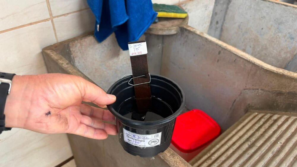 s-dengue 1 Maior parte dos criadouros está dentro dos imóveis
Foto: Prefeitura