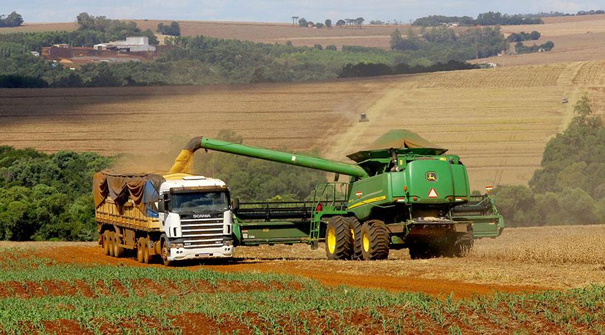 a-safra Números sobre a safra foram divulgados pela Conab