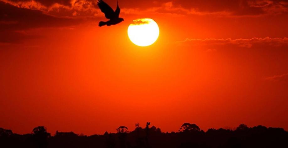 É preciso ficar atento às mudanças climáticas e reduzir danos
Foto: Brasilagro