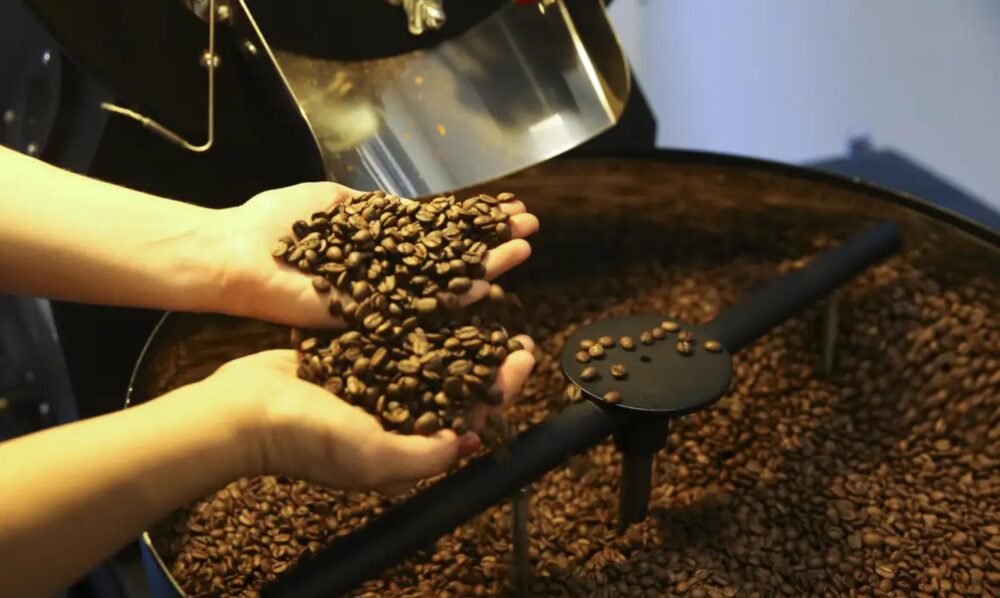 Café é uma das referências produtivas do Paraná
Foto: Marcello Casal jr/Agência Brasil